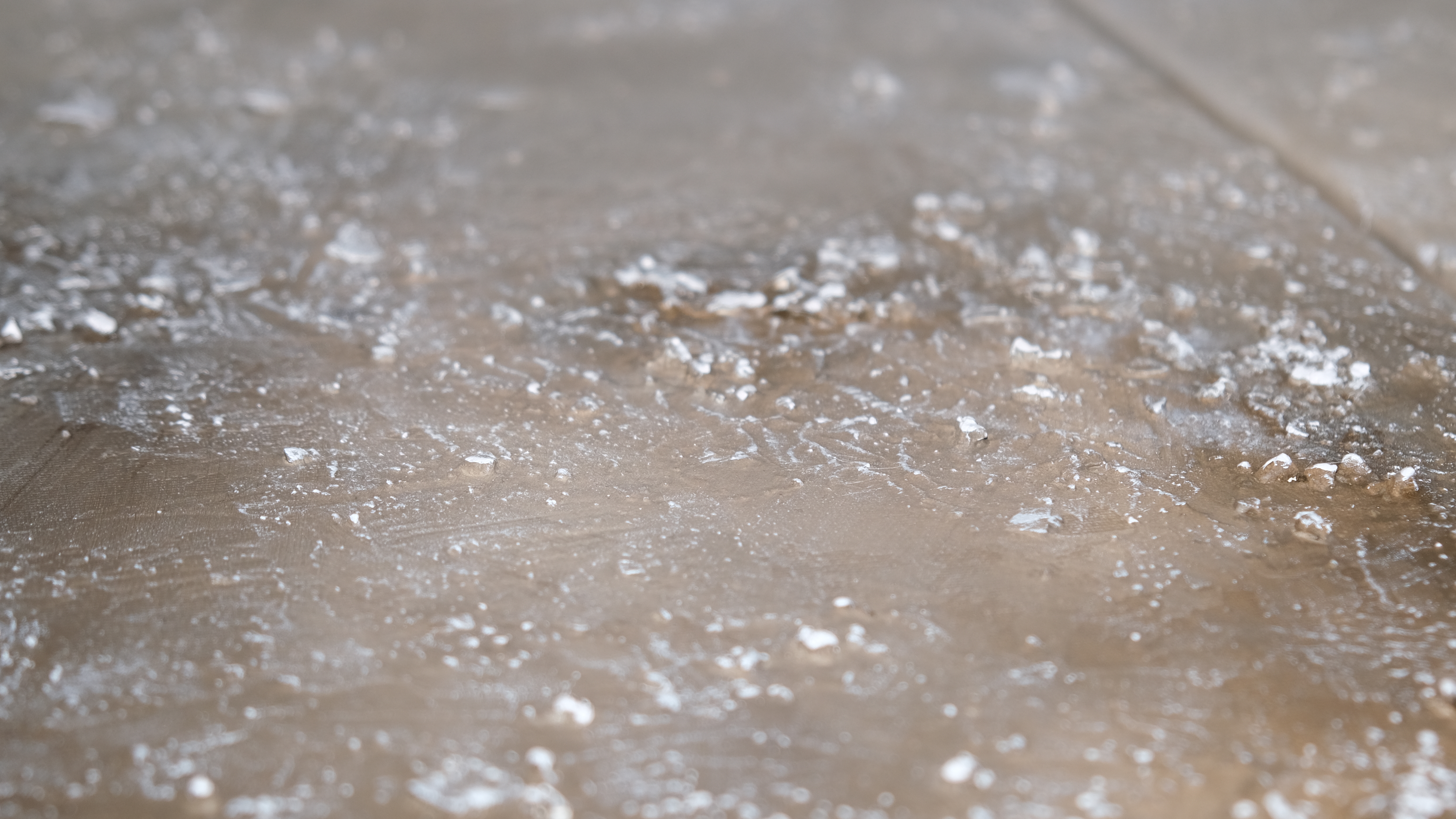 Obra “Terra”        Coleção “Vida”