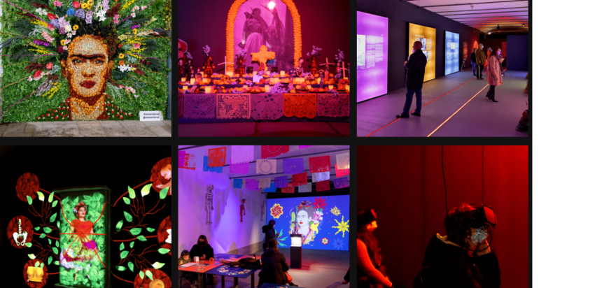 Frida Kahlo. A Vida de um Ícone